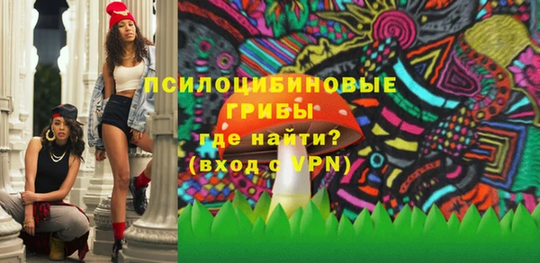 твердый Приозерск