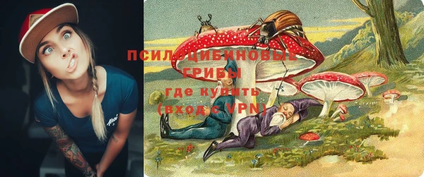 прущие крисы Абаза