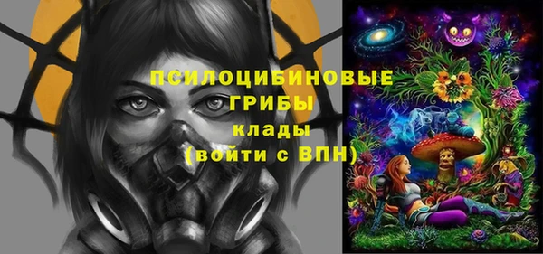 прущие крисы Абаза
