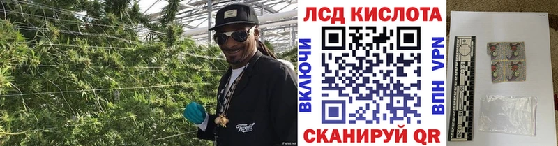 Наркотические марки 1500мкг  Остров 